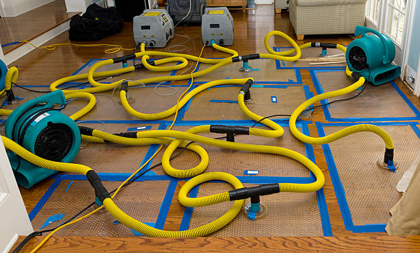 Professional Emergency Water Removal technician working in Tilton, IL
